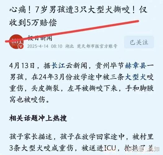 admin 第53页